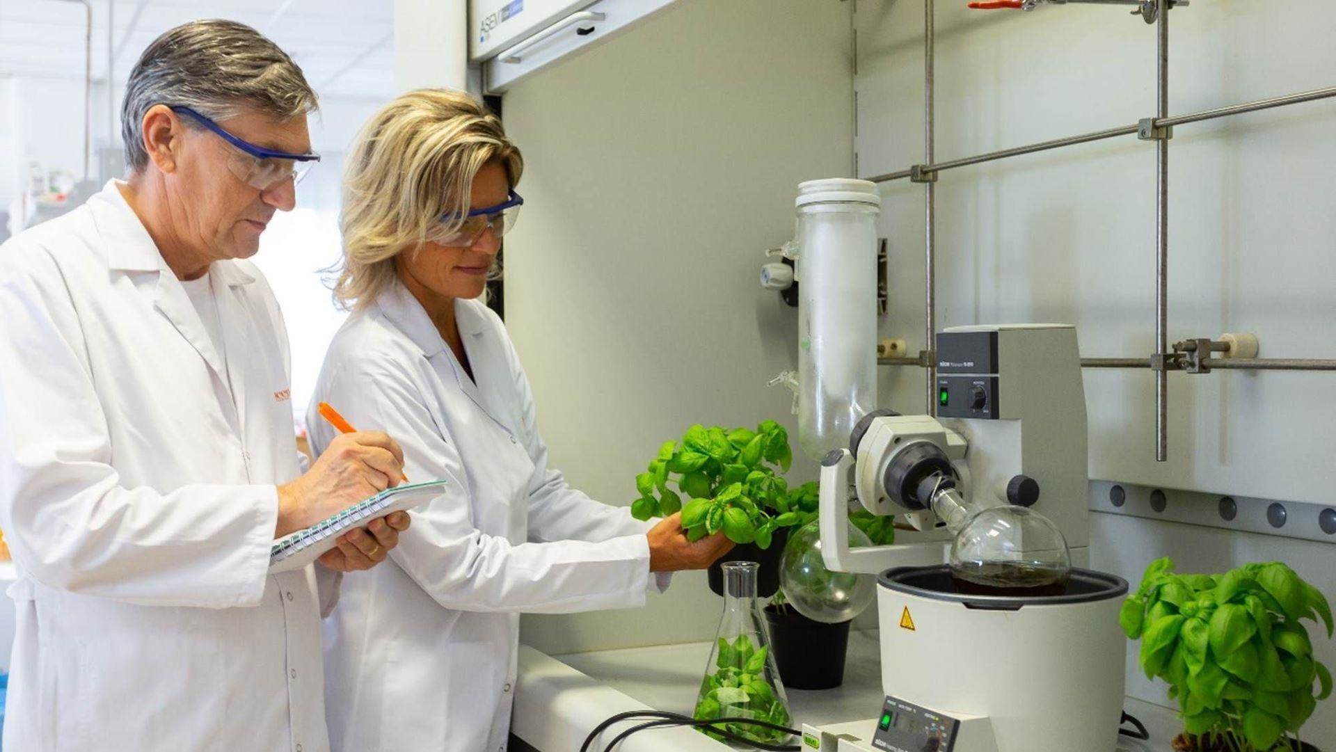 Working in a laboratory